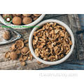 Kernel Kernels Halves (AH) di Yunnan